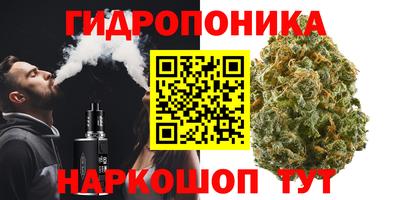 тгк Аргун